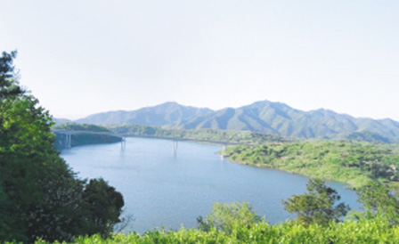 ca88手机客户端(安卓/苹果)CA88会员登录入口