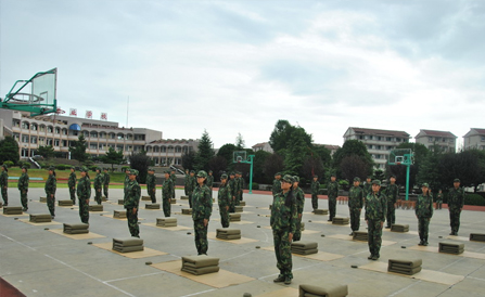 ca88手机客户端(安卓/苹果)CA88会员登录入口